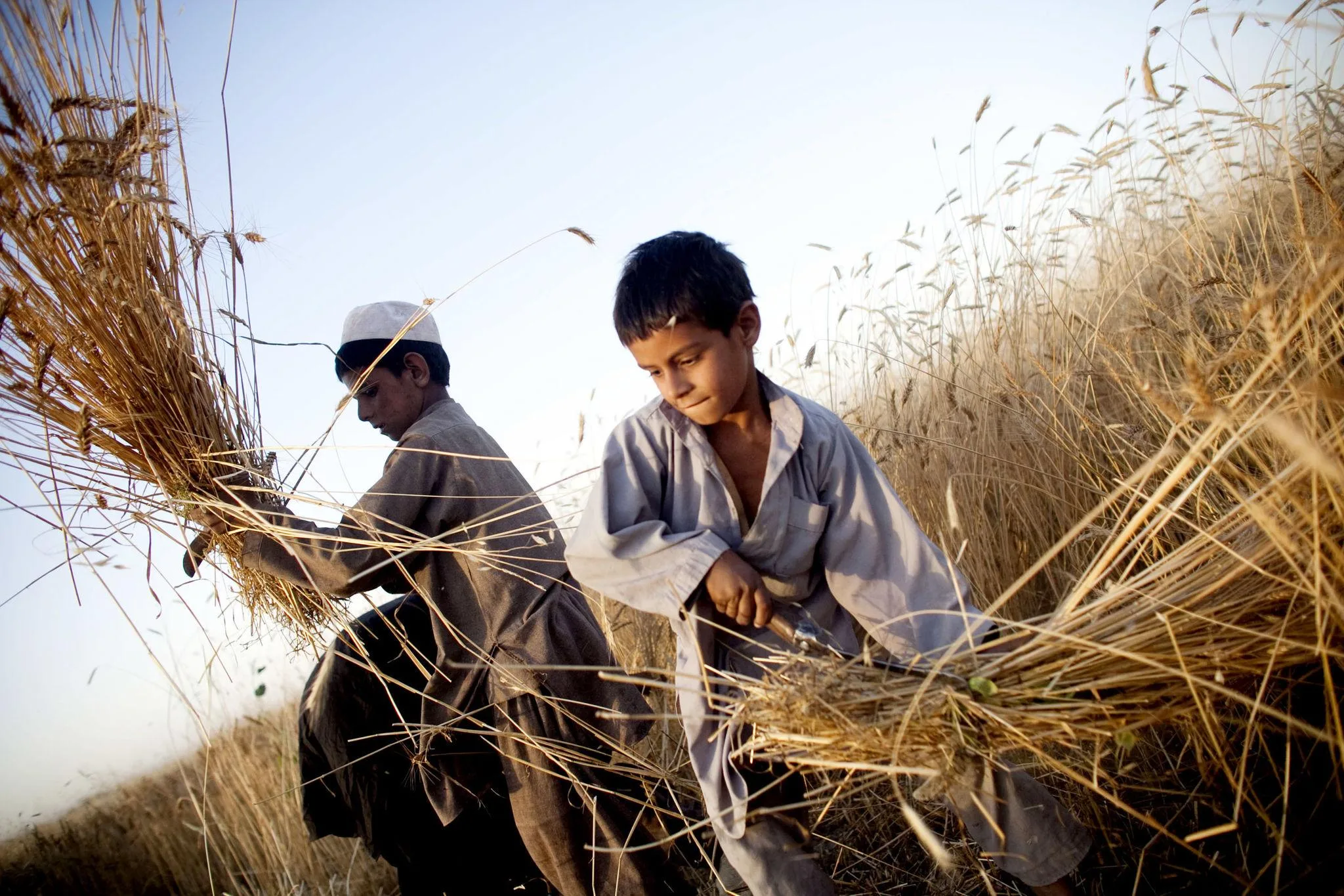 Sustainable Farming Support for Rural Families